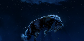 Nope – Film Review | 2022