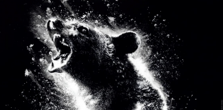 Cocaine Bear – Film Review | 2023