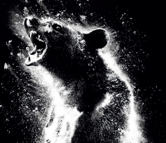Cocaine Bear – Film Review | 2023